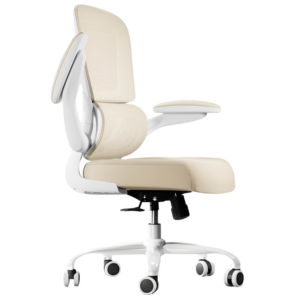 Best ergonomic office chair from Amazon with lumbar support, adjustable armrests, and breathable mesh for home office comfort and productivity