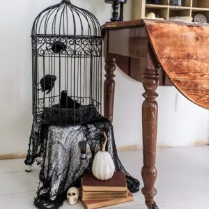 Vintage birdcage with creepy contents and cobwebs for haunted Halloween shelf decor. Halloween Decor