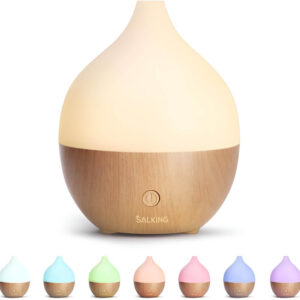 Mini essential oil diffuser Secret Santa gift for coworkers, relaxing office gift, unique coworker gift