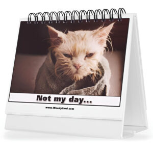 Moody cards Secret Santa gift for coworkers, funny office gift, creative desk accessory