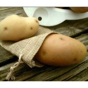 Potato soap Secret Santa gift for coworkers, unique office gift, fun creative gift idea