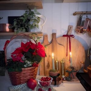 Red poinsettias in the kitchen adding a bright and classic Christmas decoration accent.