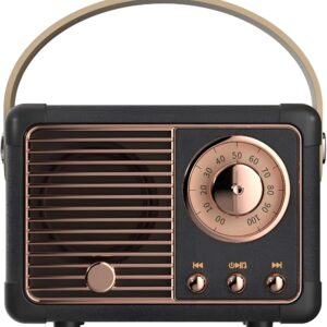 Retro mini speaker Christmas gift for music-loving dad