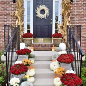 Colorful chrysanthemums in planters decorating a fall front porch with pumpkins.
